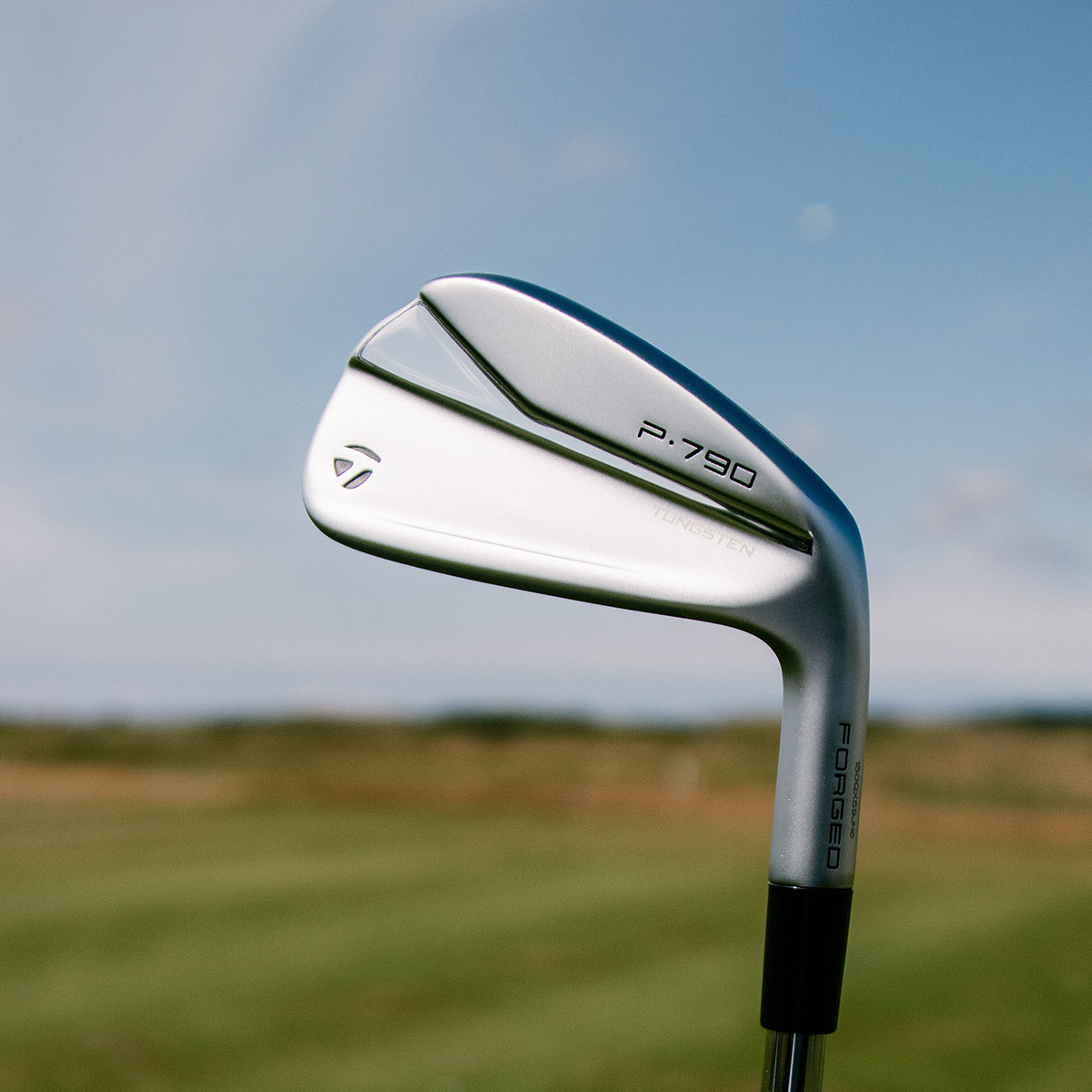 TaylorMade P790 Graphite Irons 2021 Online Golf